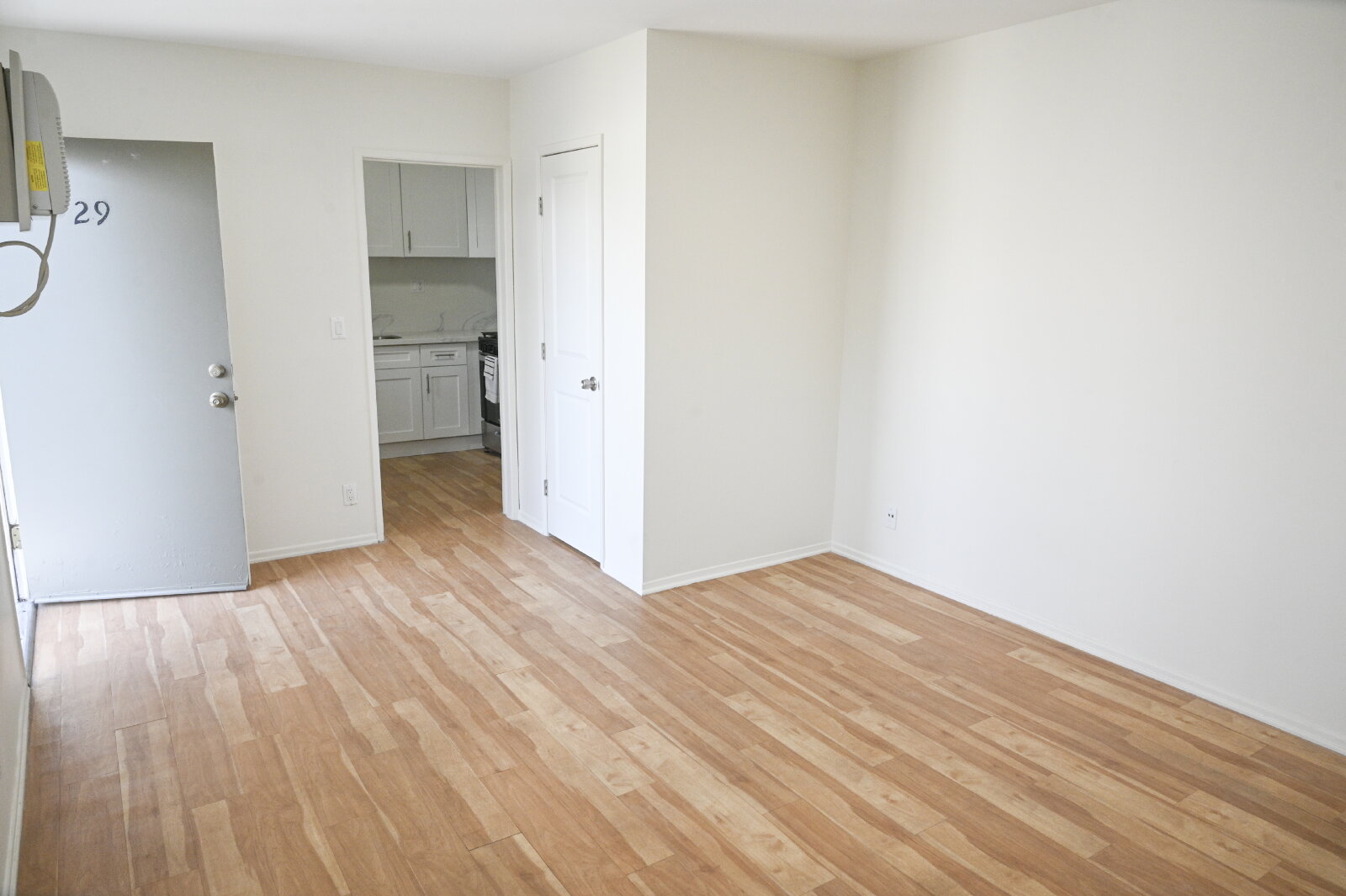 Bright living area with wood-style flooring